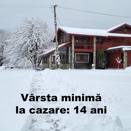 Villa Casa Bunicului à Vistisoara Extérieur photo