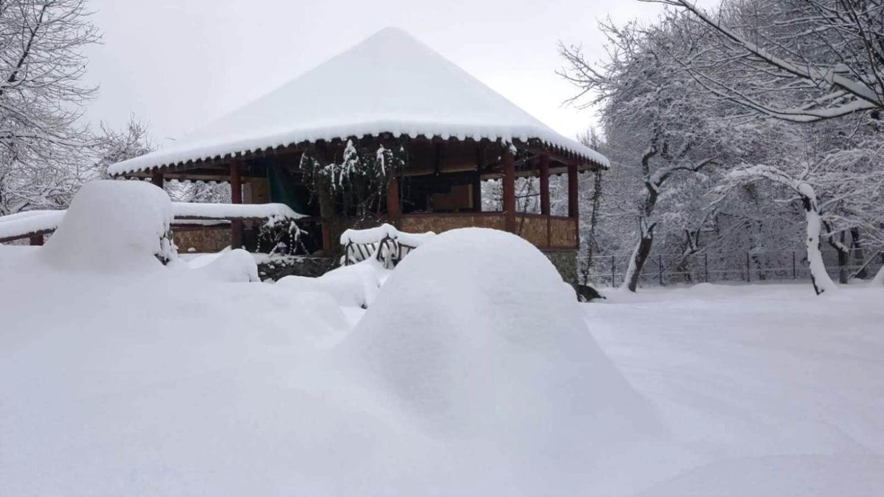 Villa Casa Bunicului à Vistisoara Extérieur photo