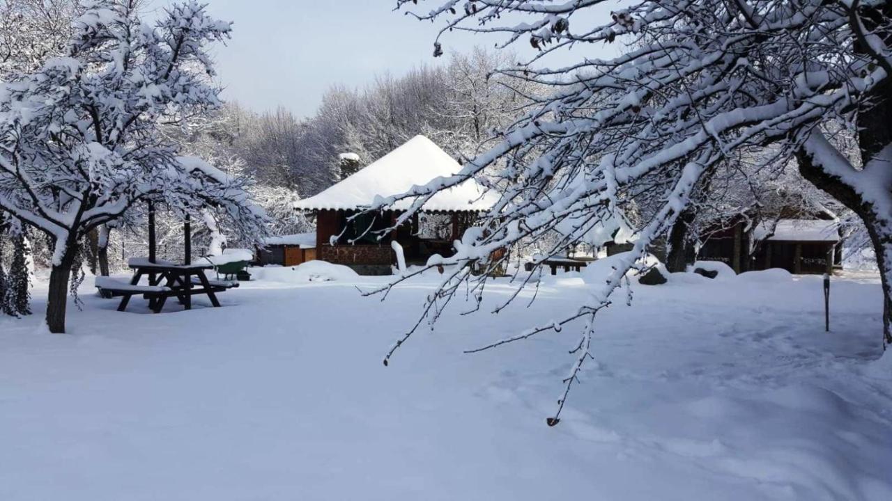 Villa Casa Bunicului à Vistisoara Extérieur photo